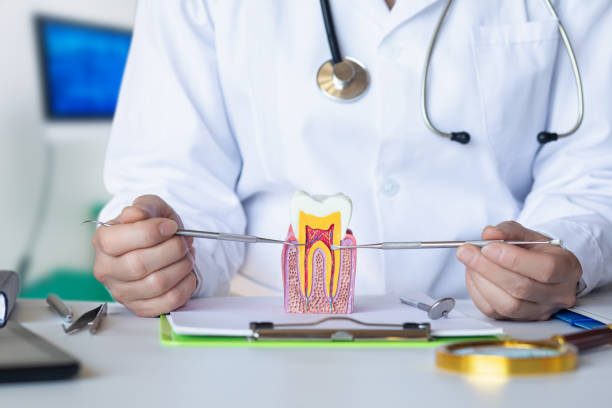 Best Pediatric Emergency Dentist in Lake Catherine, IL